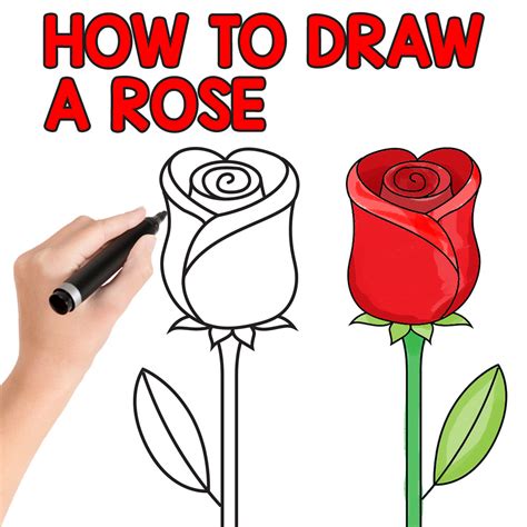 rose drawings simple